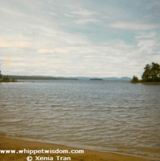 Lake Siljan in Sweden in Summer.