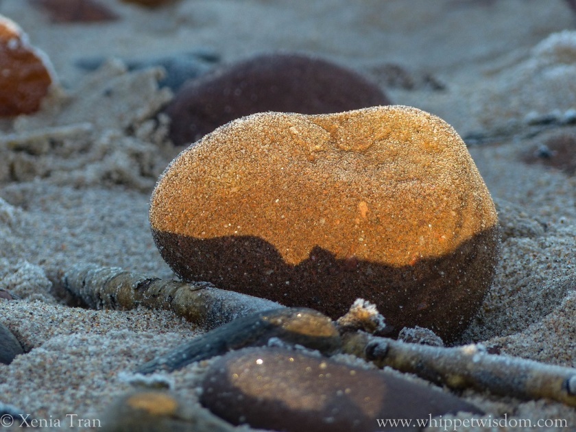 Top half of stone on the beach illuminated by the rising sun