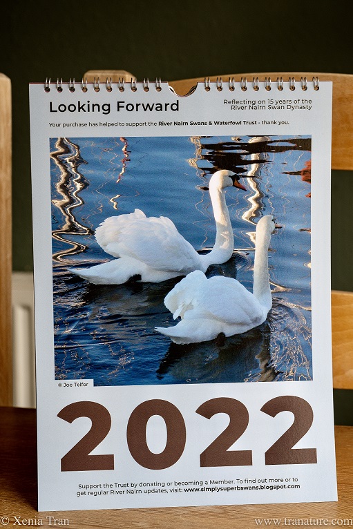 River Nairn Swans & Waterfowl Trust 2022 Calendar Front Cover