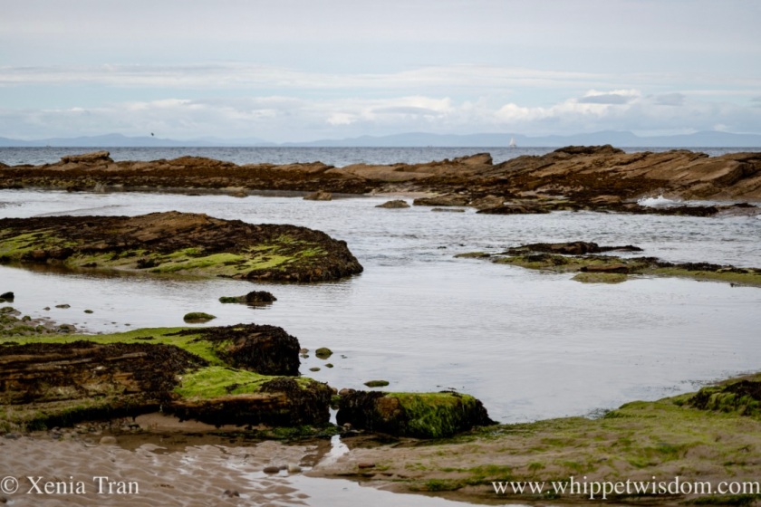 seaweed-covered rocks and rockpools between the beach and the sea
